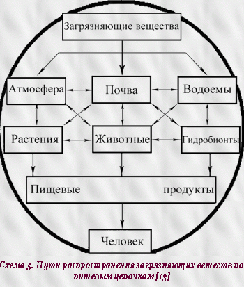 Схема 5.  Пути распространения загрязняющих веществ по пищевым цепочкам [13].